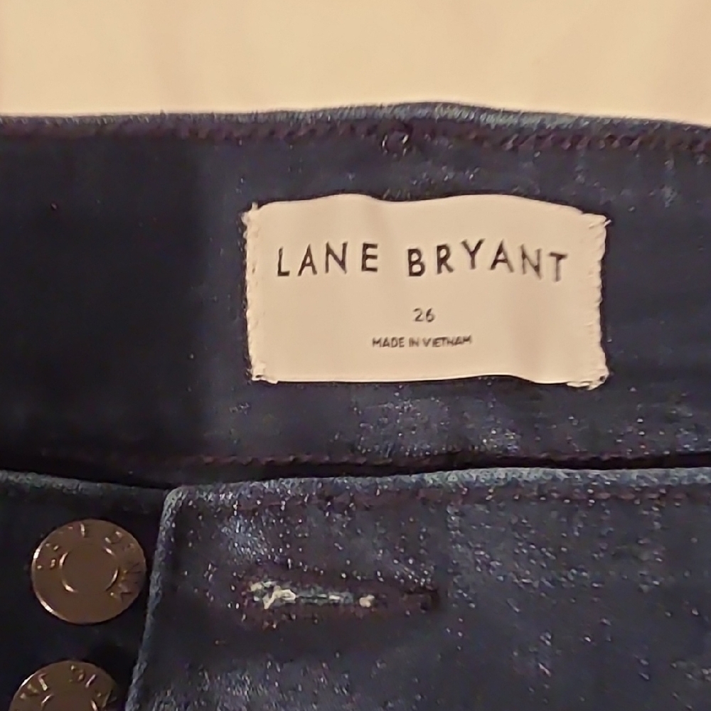 Lane Bryant Dark Blue Women's Jeans
